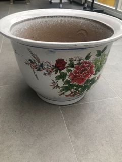 （分類：）位於 。 由 brusston 提交（商品編號 1271269916，圖片 1）。簡介： 。