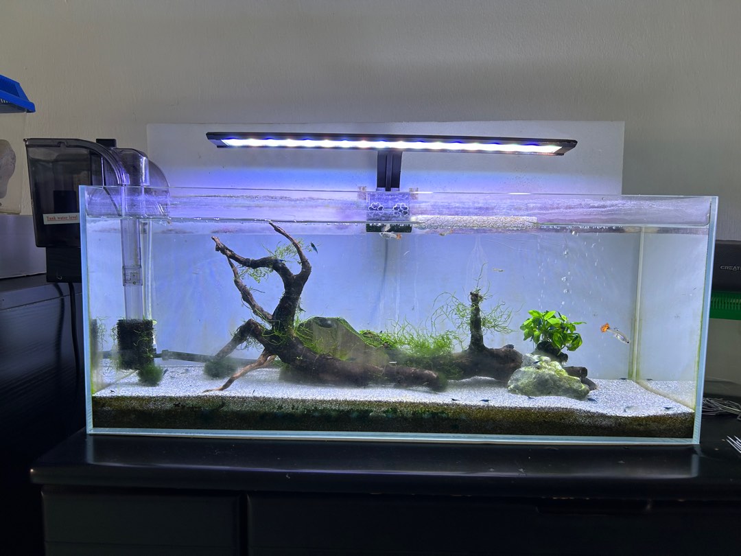 Complete aquarium set new arrivals