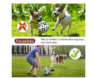 https://media.karousell.com/media/photos/products/2023/12/14/dog_toys_soccer_ball_with_grab_1702543688_42f0dfbe_progressive