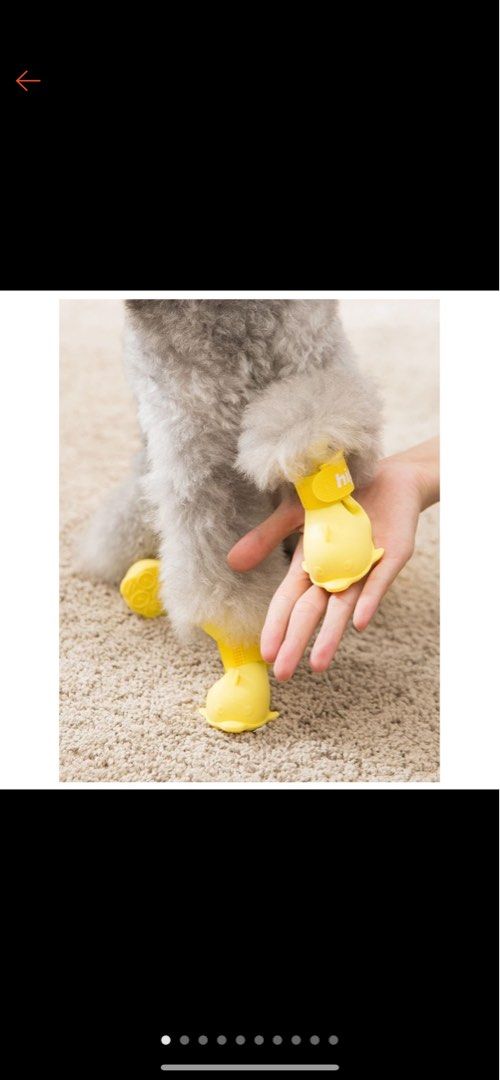 Doggy boots Pet Supplies Homes Other Pet Accessories on Carousell