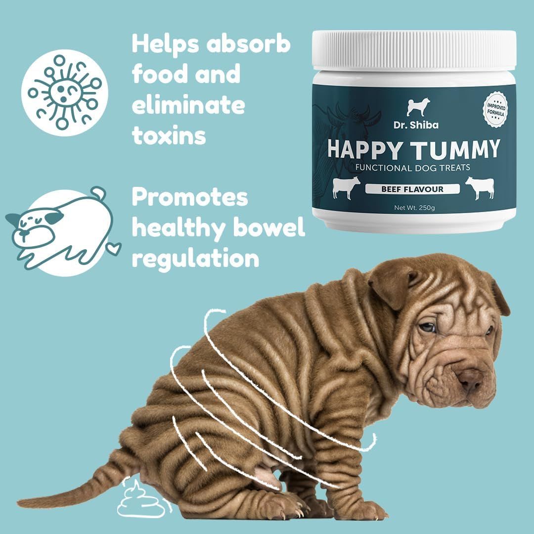 Dr. Shiba Probiotics for Dogs 100 Soft Chews Happy Tummy