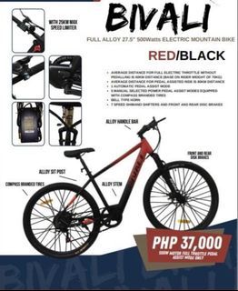 BUSINESS OPPORTUNITY!!! Almost 300 Units of E Bikes / Mountain Bikes BULK SALE!!!