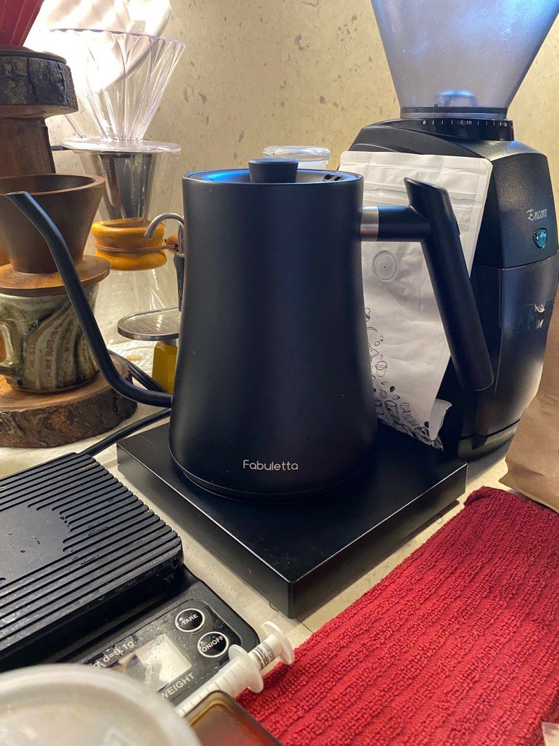  Gooseneck Electric Kettle Fabuletta Electric Kettle