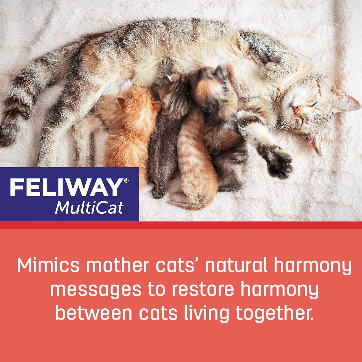 FELIWAY Classic Cat Calming Pheromone, 30 Day Refill - 6 Pack