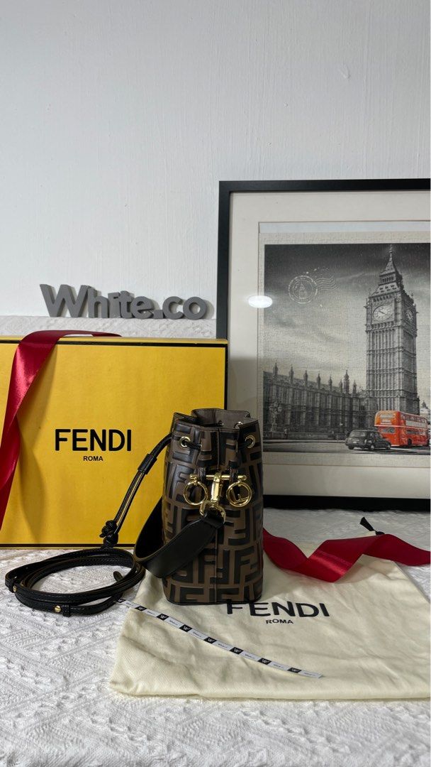 Fendi Zucca bucket bag Luxury Bags Wallets on Carousell