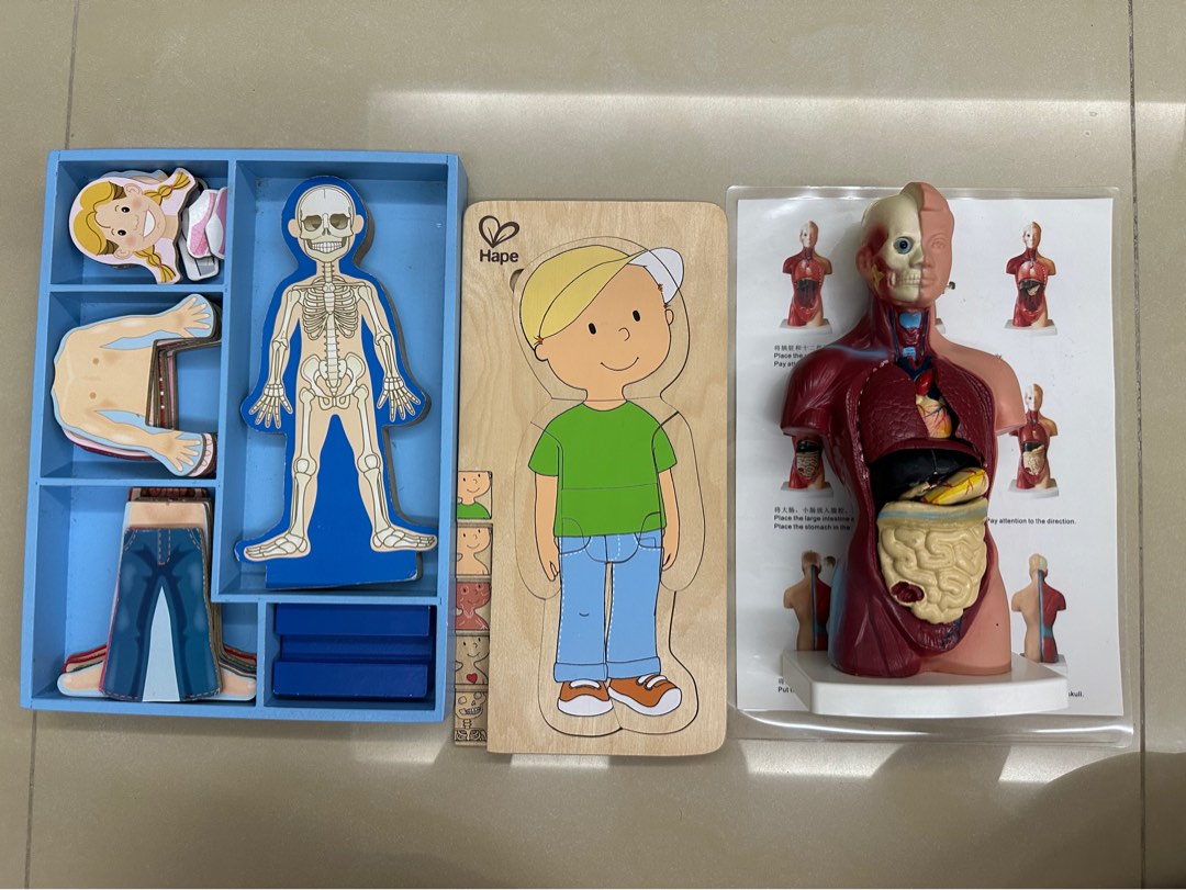 Melissa and doug shop human anatomy puzzle