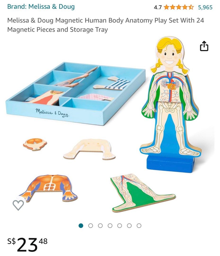 HAPE MELISSA DOUG Human Anatomy Model Puzzle, Hobbies & Toys, Toys