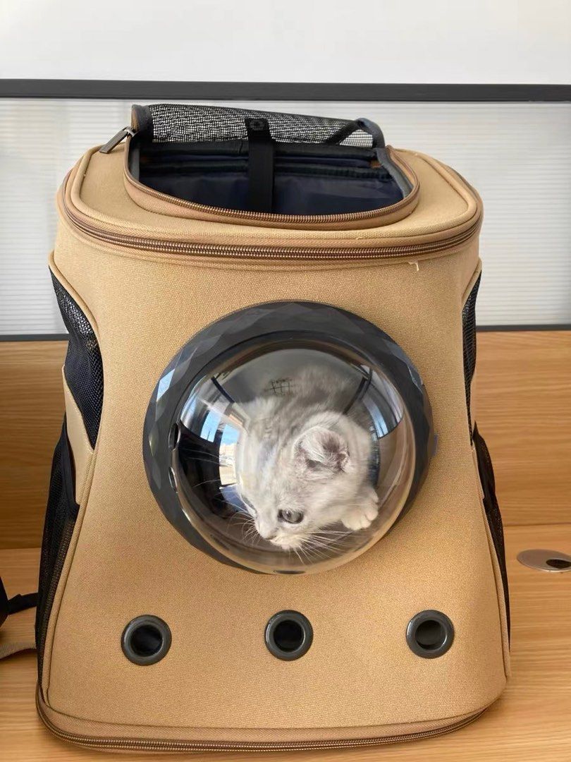 Cat cheap spaceship bag