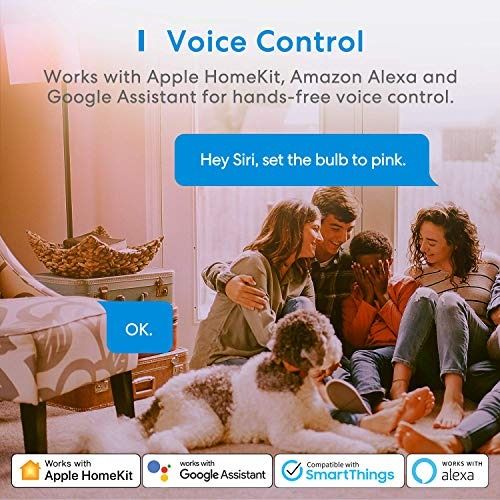 Google homekit best sale equivalent