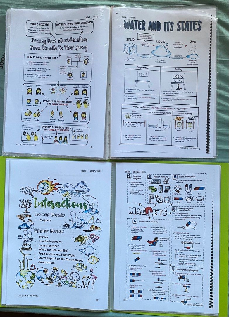 P5-P6 Science Sketchnotes (2nd edition) - printed / softcopy, Hobbies ...