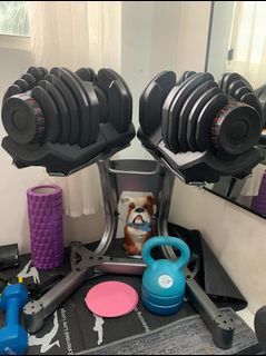 Pre-loved Gym Equipment for Sale