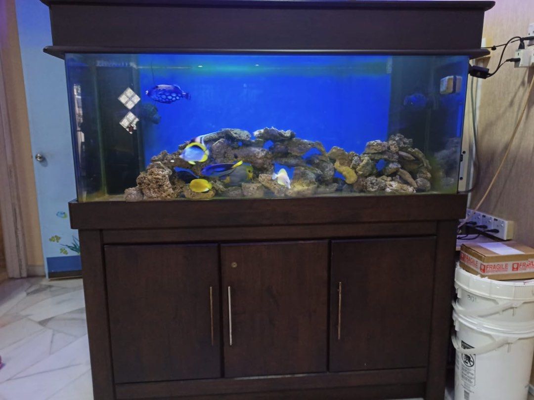 Second hand marine sales fish tanks for sale