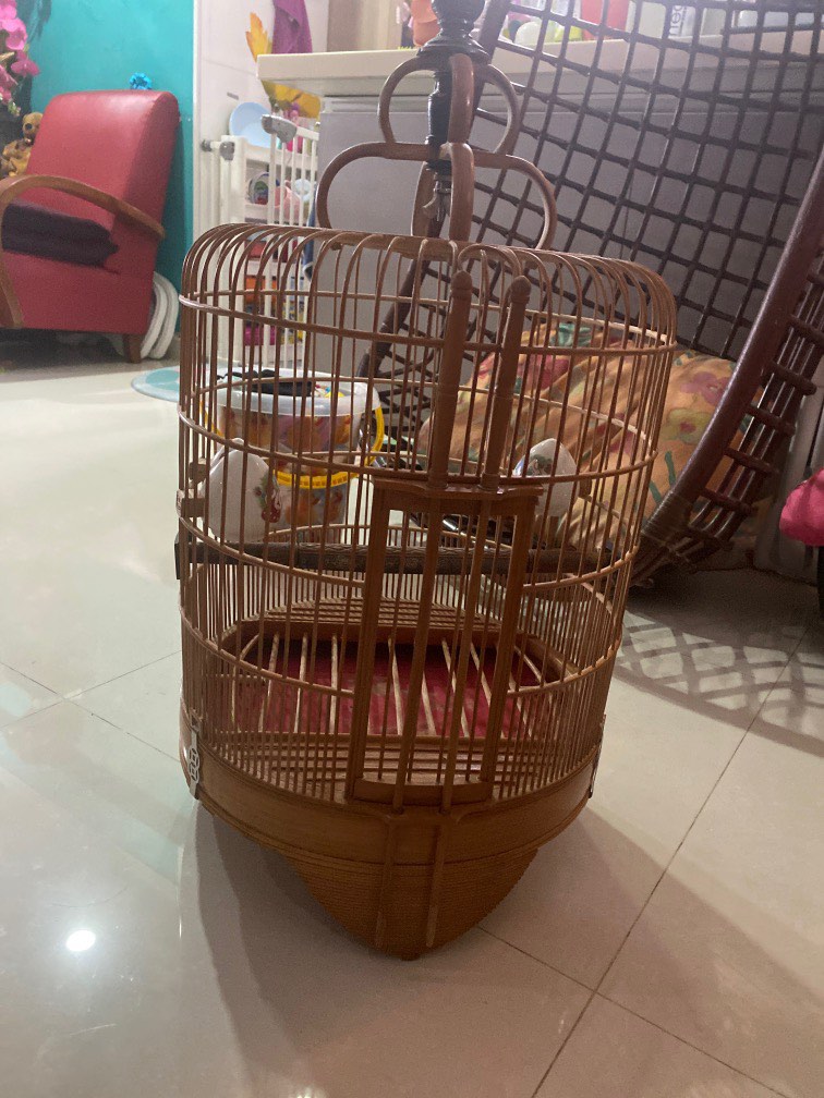 Bird cage, Pet Supplies, Homes & Other Pet Accessories on Carousell