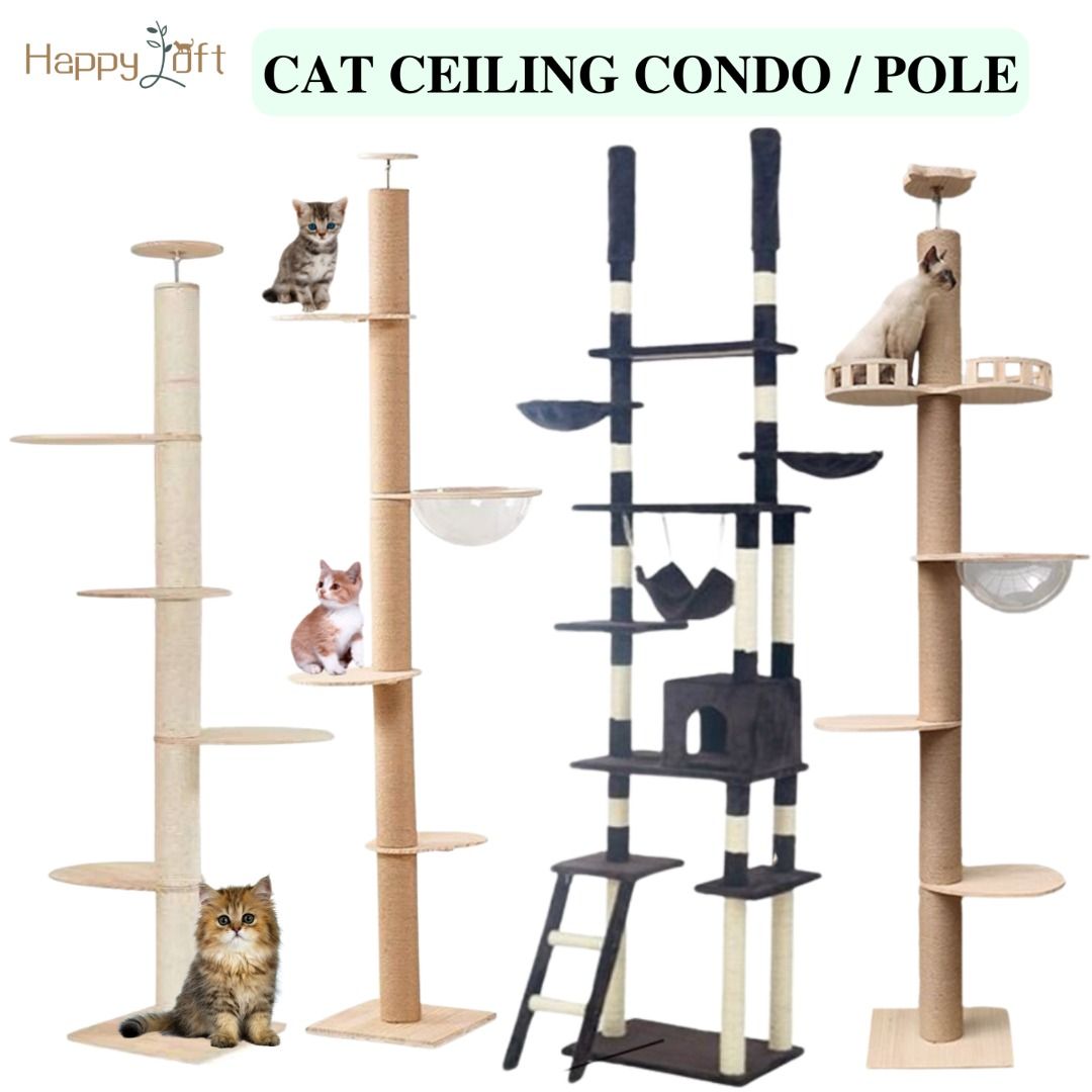 Floor to ceiling cat scratcher hotsell