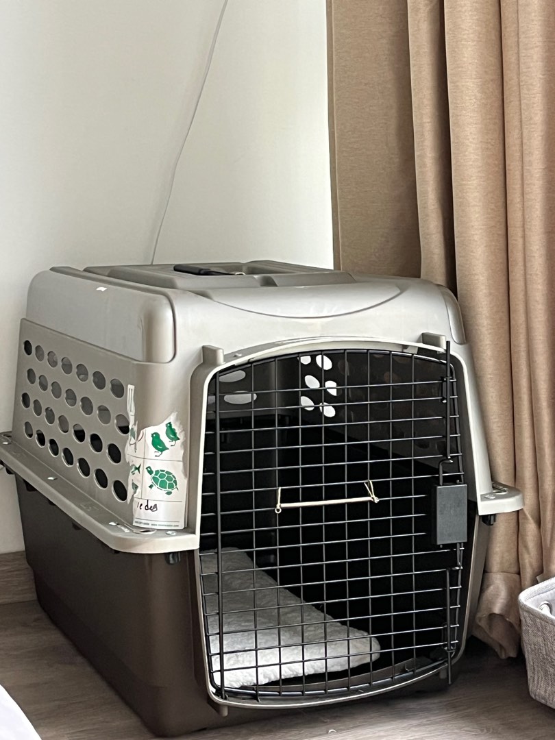 Dog Pet crate cargo airline approved Pet Supplies Homes Other