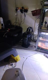 (Category: ) located in . Submitted by pocchibo (Listing ID 1271556674, Image 1). Description: .