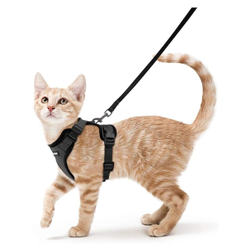 Reflective cat jacket discount