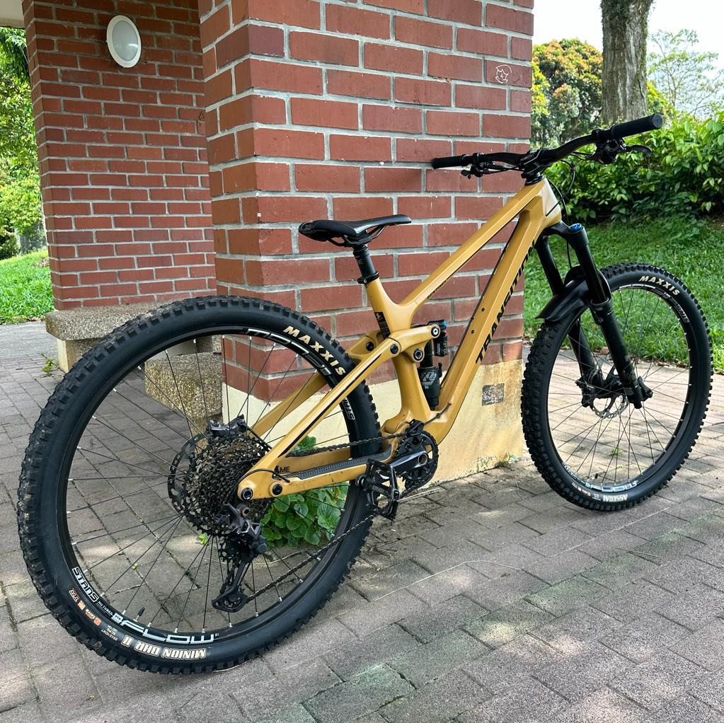 Transition sentinel shop loam gold