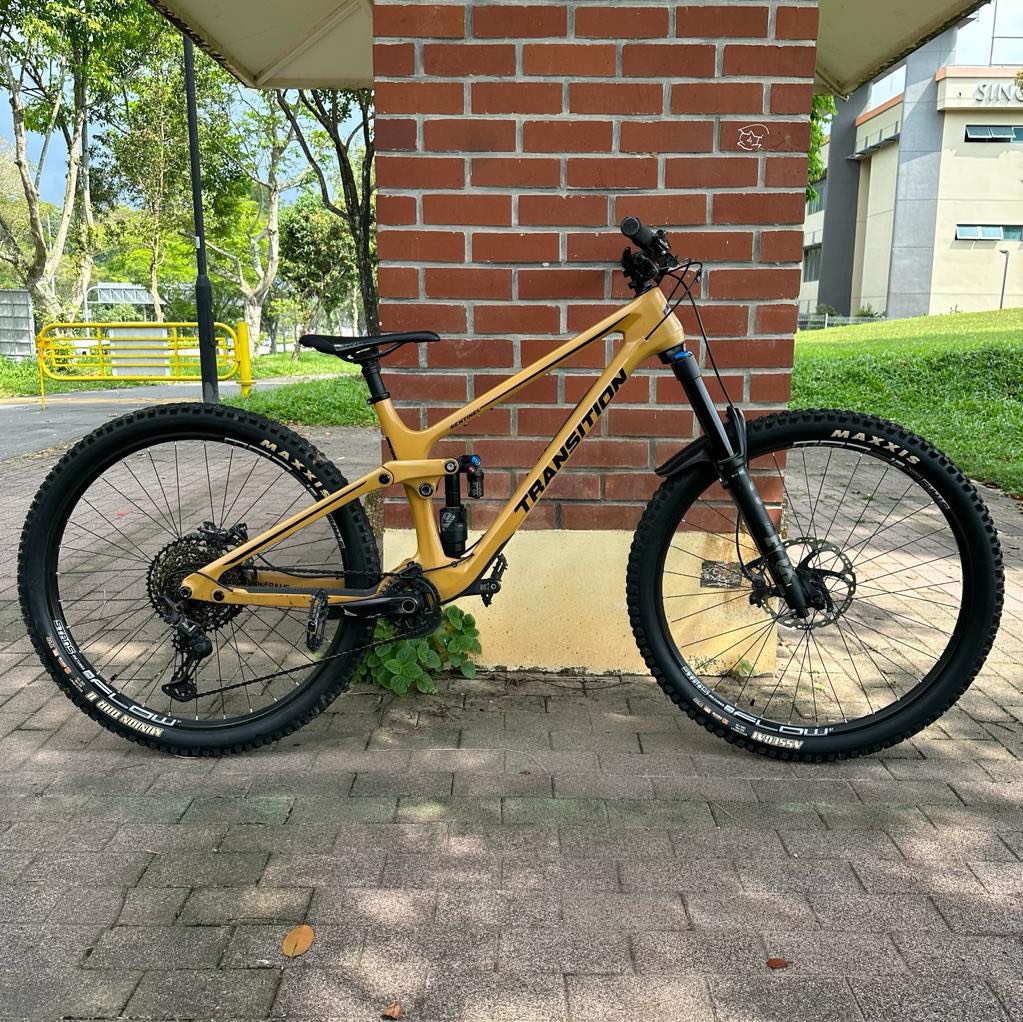 Transition Sentinel Loam Gold Carbon V2 Size L Sports