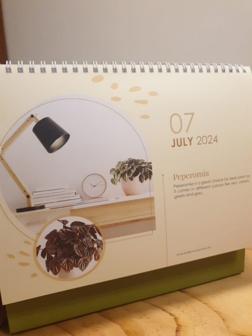 2024 Public Mutual Calendar Hobbies Toys Stationery Craft