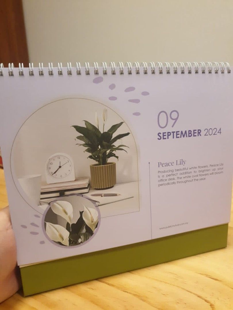 2024 Public Mutual Calendar Hobbies Toys Stationery Craft