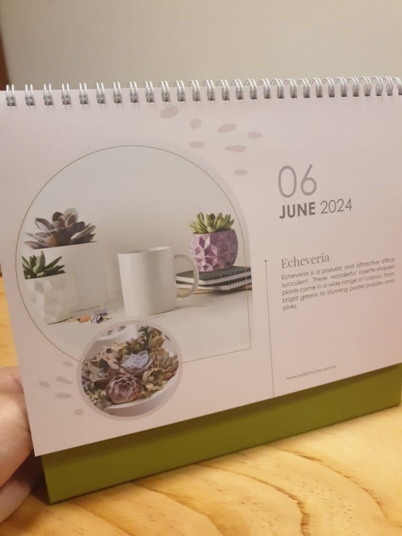 2024 Public Mutual Calendar Hobbies Toys Stationery Craft