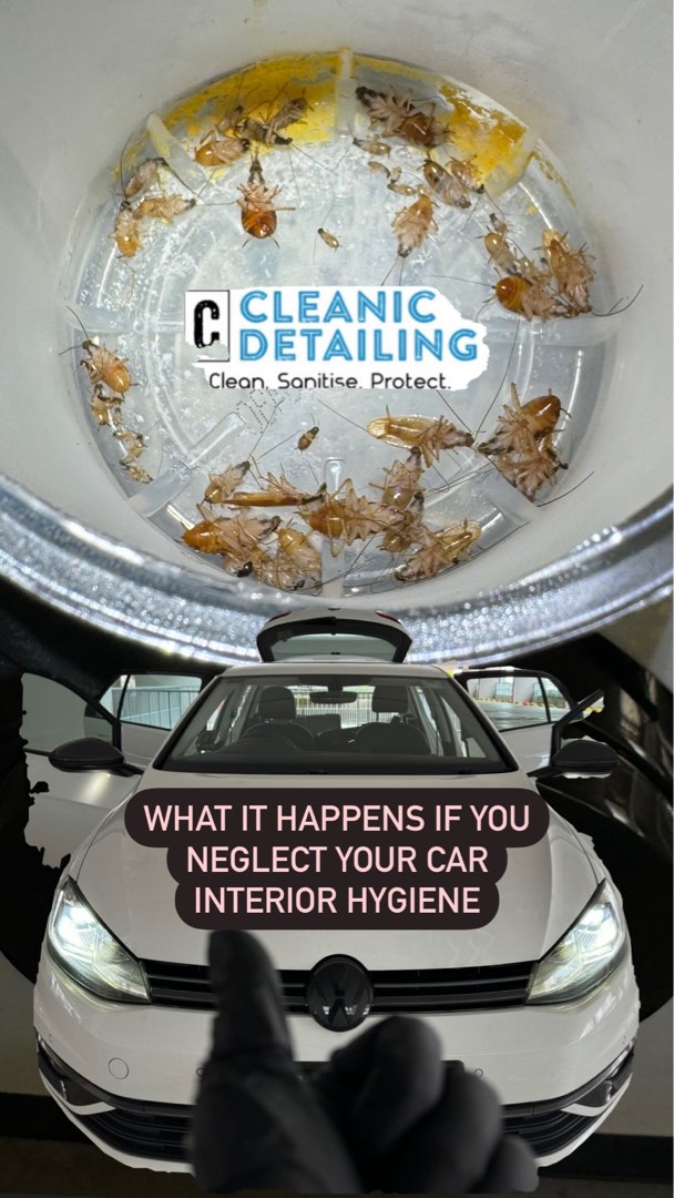 24hour DOORSTEP ONSITE LICENSED CAR PEST CONTROL COCKROACH FUMIGATION