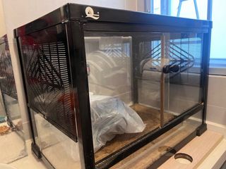 （分類：）位於 。 由 aastrid01 提交（商品編號 1271715670，圖片 1）。簡介： 。