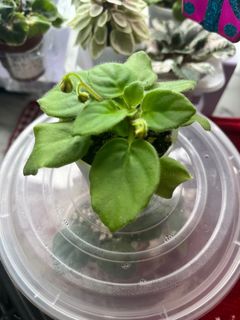 （分類：）位於 。 由 jhung2003 提交（商品編號 1271648687，圖片 1）。簡介： 。