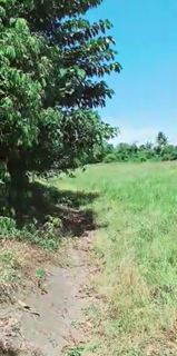 Aslong Libmanan Farm Land
