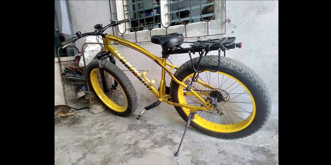 Olx fat cycle deals