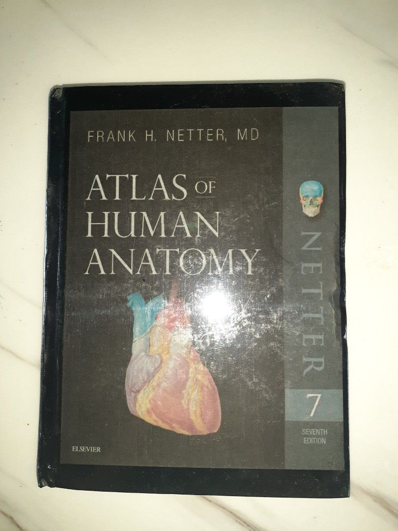 Netter Atlas of Human Anatomy (7th ed), Hobbies & Toys, Books ...