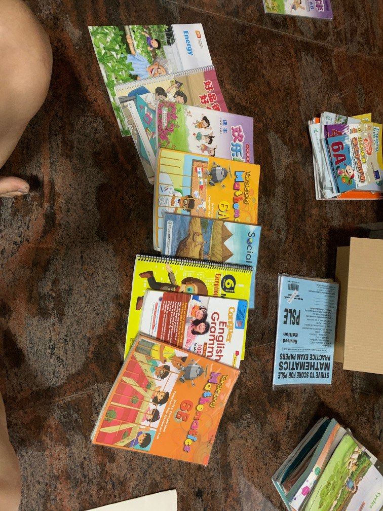Primary 6 textbooks, Hobbies & Toys, Books & Magazines, Textbooks on ...