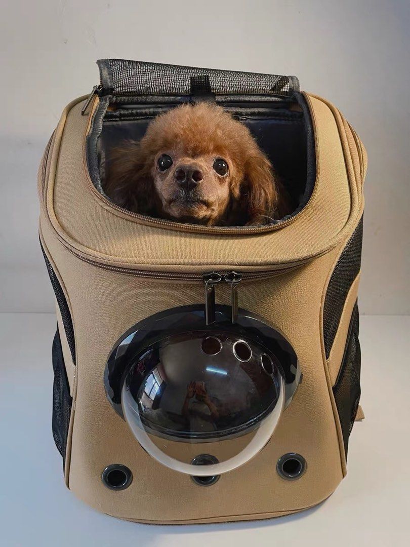 Bubble dog backpack sales