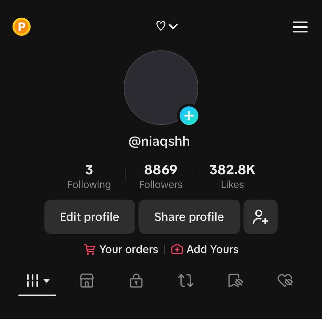 tiktok_acc_8k_followers_1702765551_ca490b4a.jpg