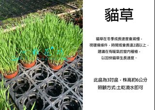 由 floragarden2017 (刊登 ID 1272236772，圖片 1) 提交，位於 的 (類別：)，說明：。