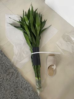 （分類：）位於 。 由 cherryisawesome 提交（商品編號 1272013613，圖片 1）。簡介： 。