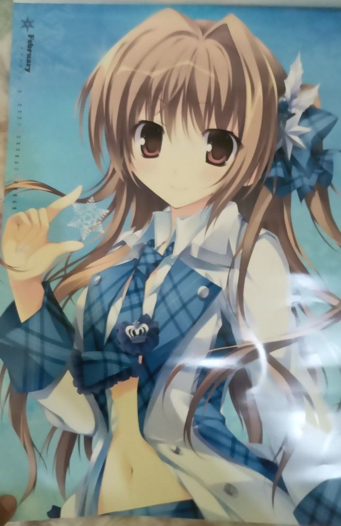 Anime calendar hentai poster, Hobbies & Toys, Memorabilia
