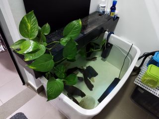 3ft aquarium light discount