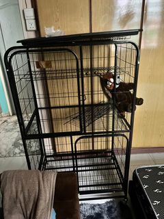(Category: ) located in . Submitted by danya05 (Listing ID 1272140787, Image 1). Description: .