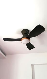 (Category: ) located in . Submitted by rebby15 (Listing ID 1272101282, Image 1). Description: .