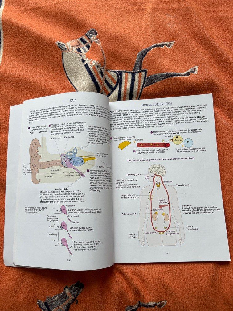 DSE biology in visuals by Victor Lau, 興趣與生活, 書本 & 文具, 教科書 - Carousell