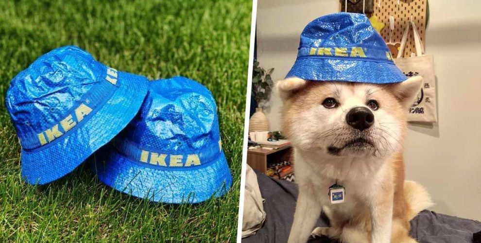 KNORVA Hat, blue - IKEA