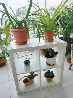(Category: ) located in . Submitted by cedricbas (Listing ID 1272014935, Image 1). Description: .