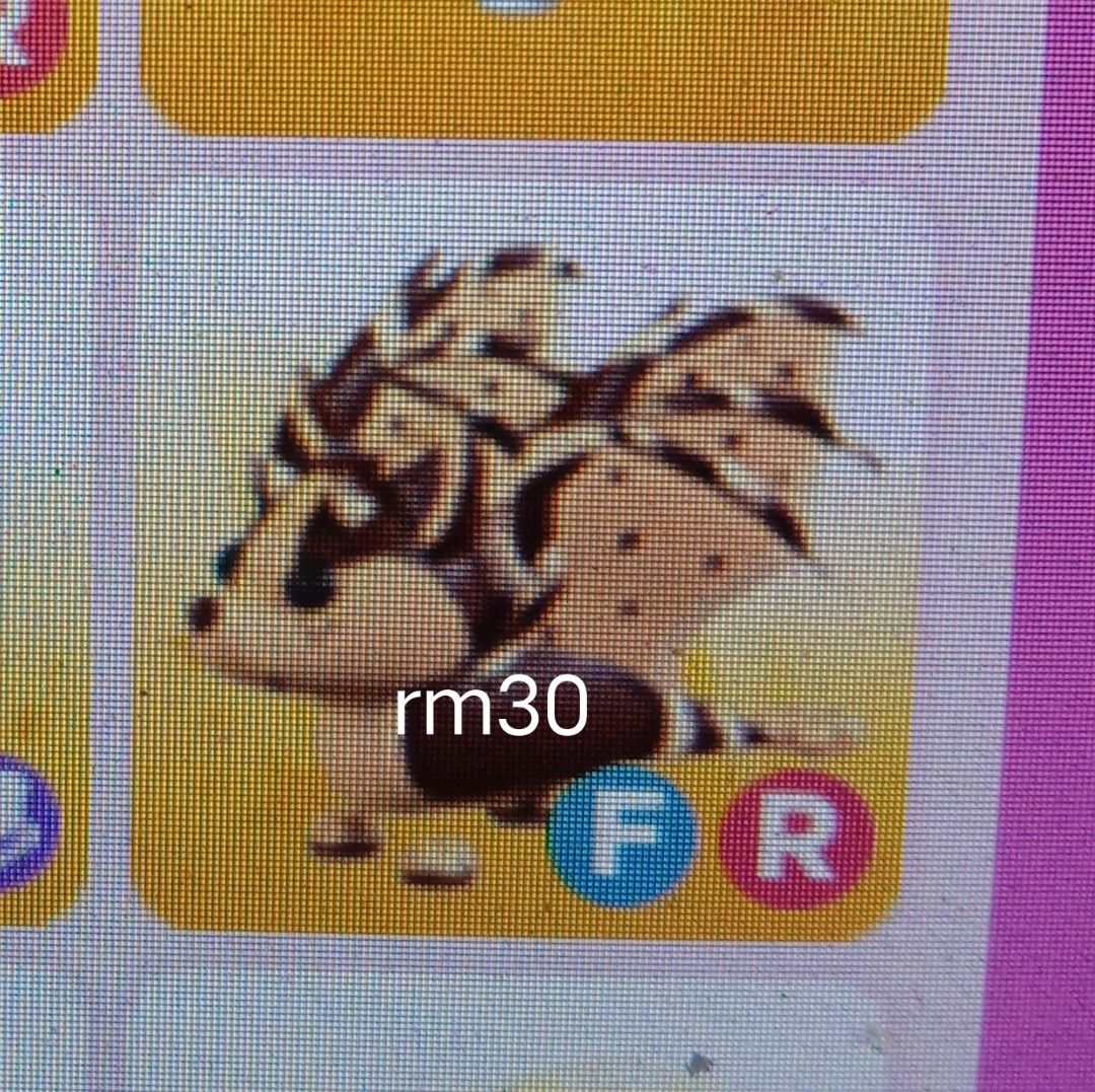 legendary pets adopt me, Video Gaming, Gaming Accessories, InGame