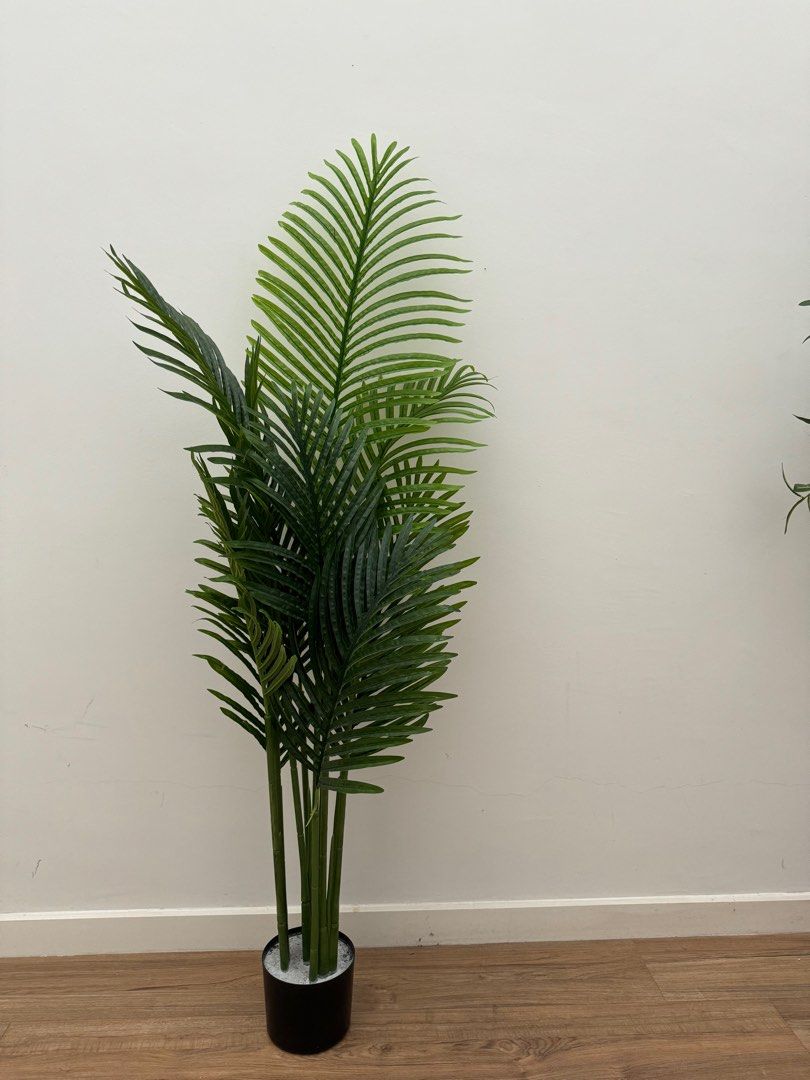 Palm Tree, Furniture & Home Living, Home Decor, Artificial Plants