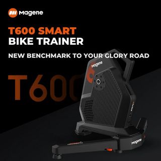 100 affordable