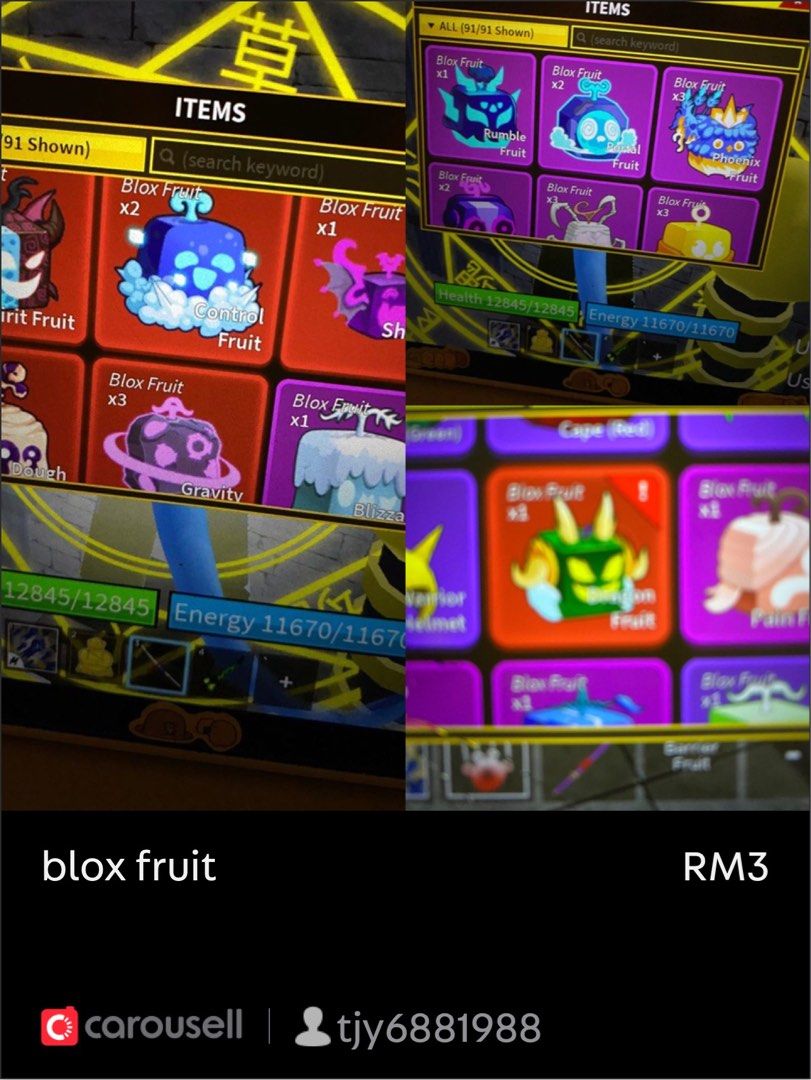 Blox Fruit Trading Service (Buddha and Blizzard), Video Gaming, Video  Games, Others on Carousell