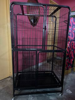 (Category: ) located in . Submitted by aimunishaharuddin (Listing ID 1272074025, Image 1). Description: .
