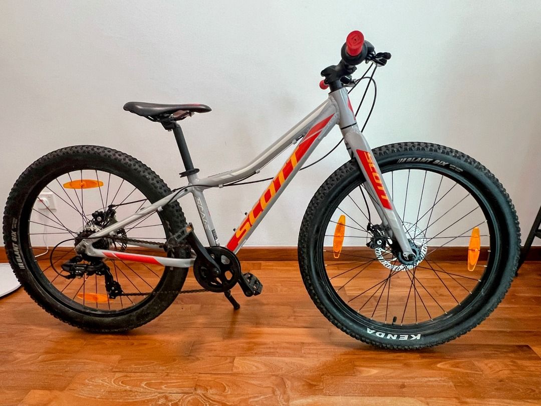 Scott scale plus 24 clearance